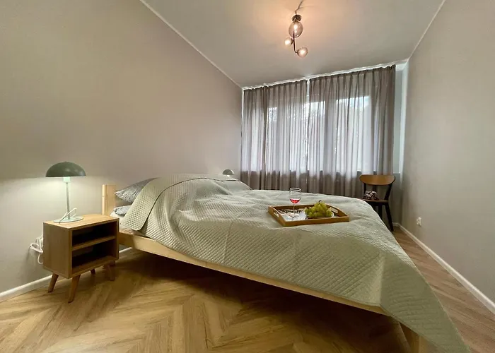 Apartment W Srodmiesciu *